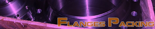 flanges packing technology