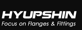 Hyupshin Flanges & Fittings